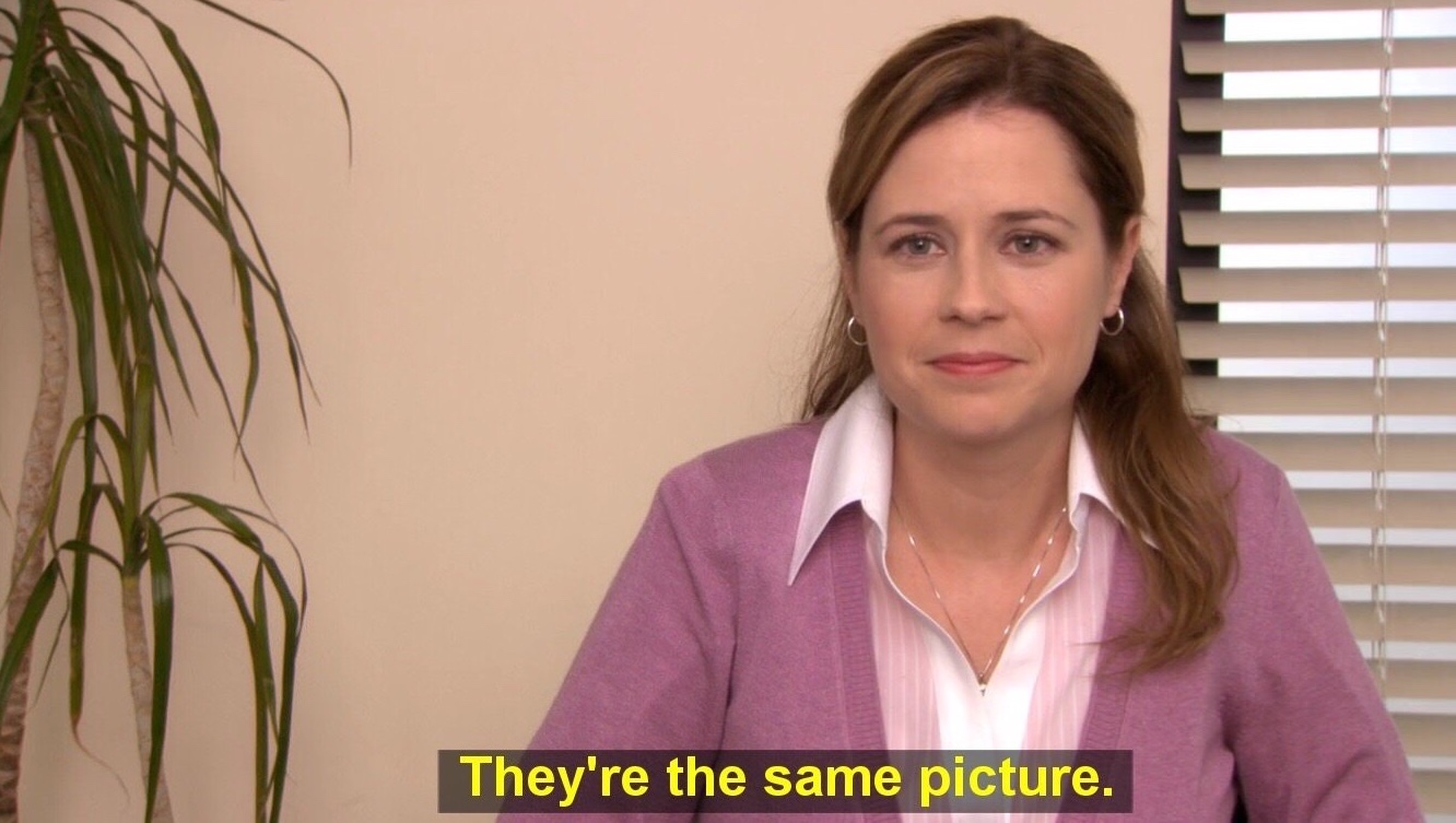 Pam from "The Office" saying "They're the same picture"